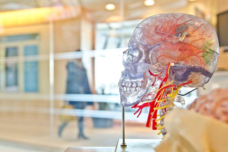 Harnessing Neuroplasticity in the Brain as a Way to Manage Addiction Triggers