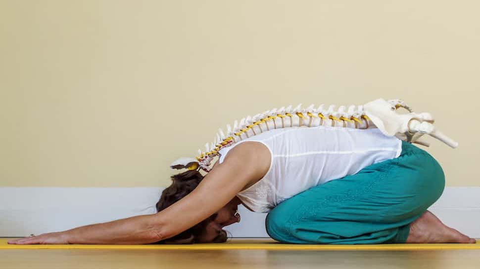 Physical Therapy in Drug and Alcohol Recovery