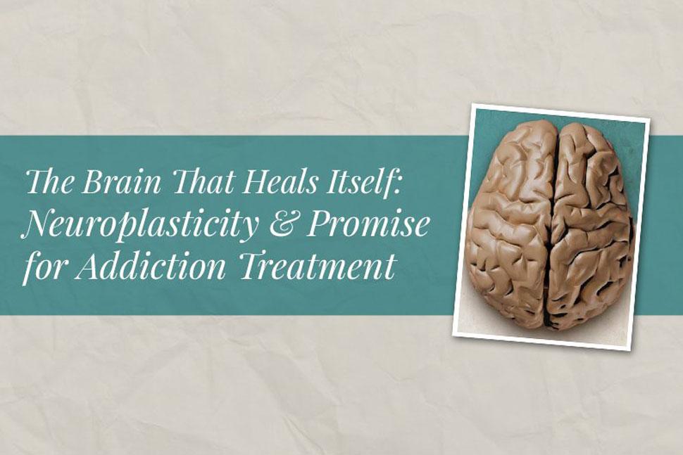 The Brain That Heals Itself: Neuroplasticity and Promise for Addiction Treatment